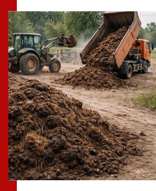 Доставка навоза самосвалами в Ефремах для сельхозпотребностей