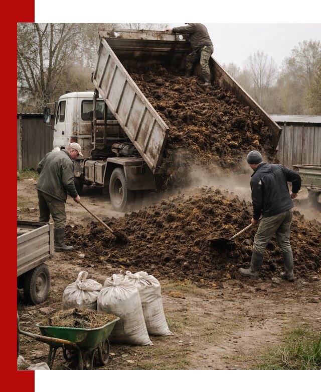Доставка коровьего навоза самосвалом в Ефремах